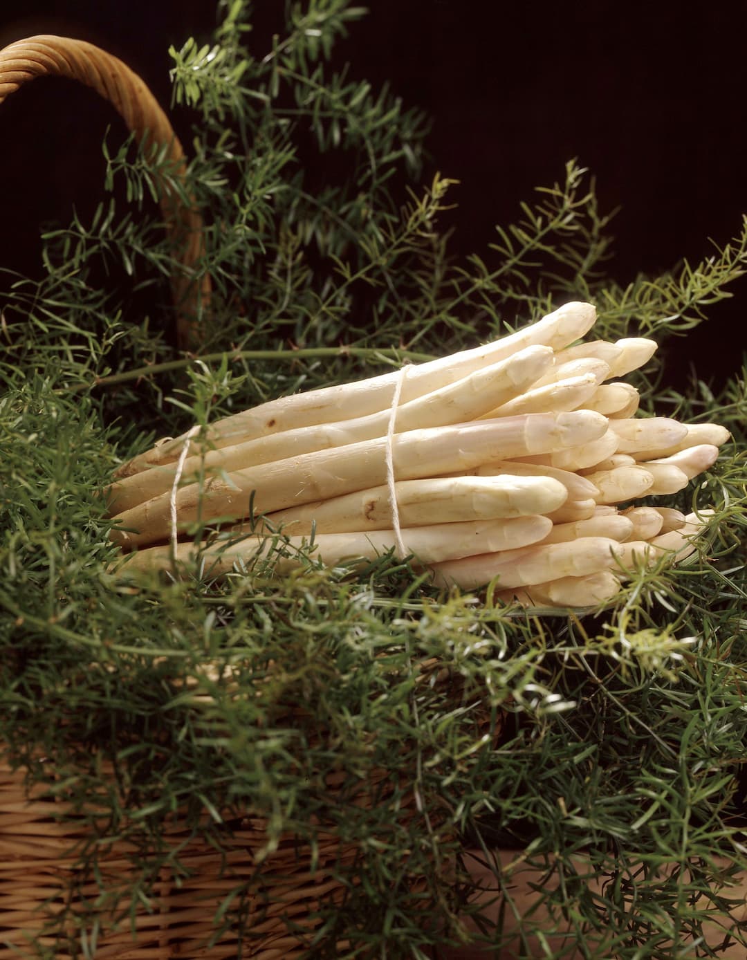 Asperges blanches Alsace