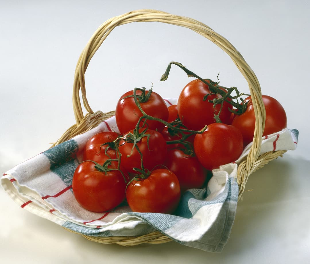 Panier de tomates