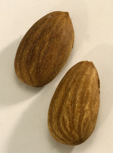 Amandes séchées