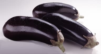 Aubergines violets