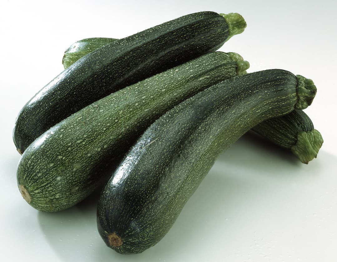 Courgettes fraîches