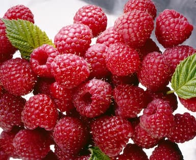 Framboises