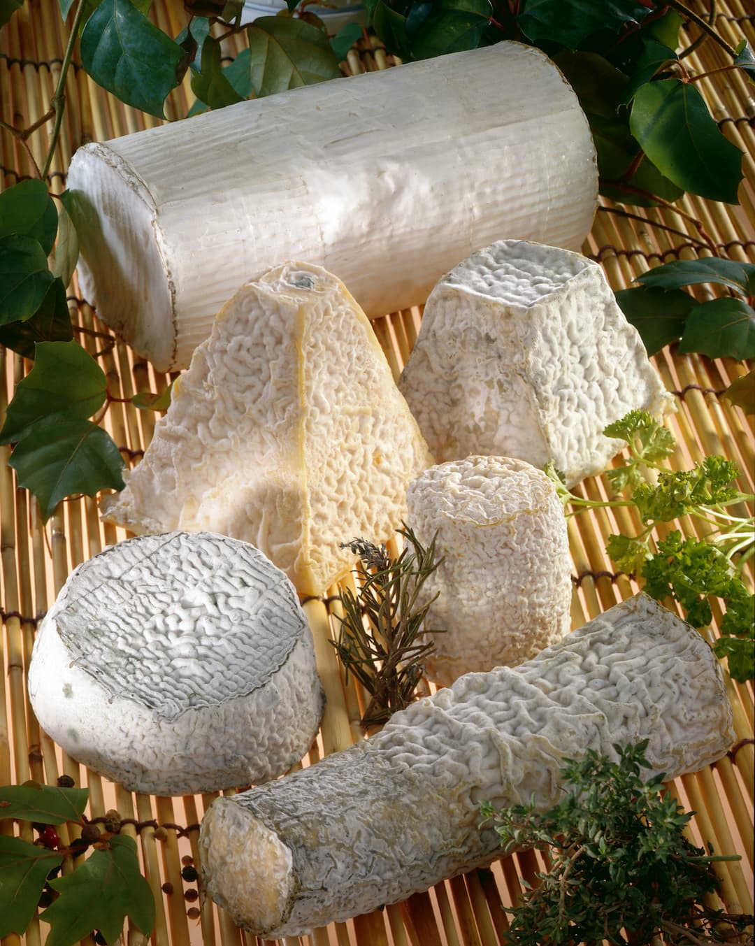 Fromage de chèvre