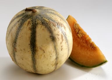 Melon