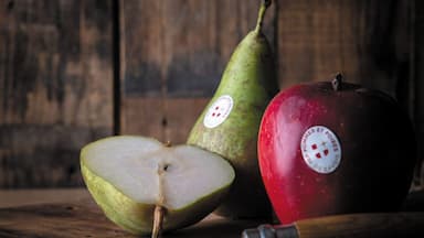 Pomme et poire de Savoie