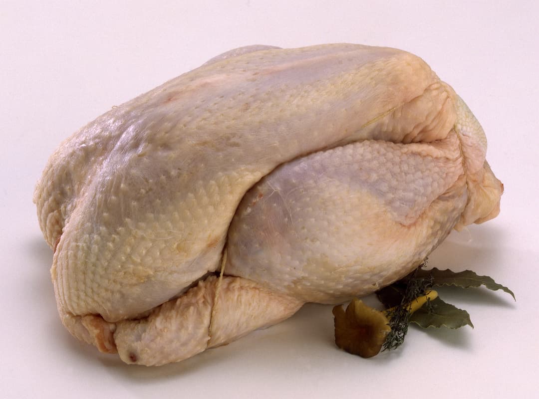 Poulet cru ficelé