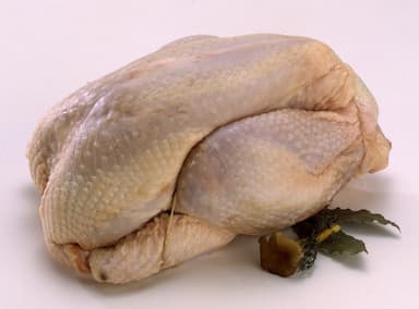 Poulet cru ficelé