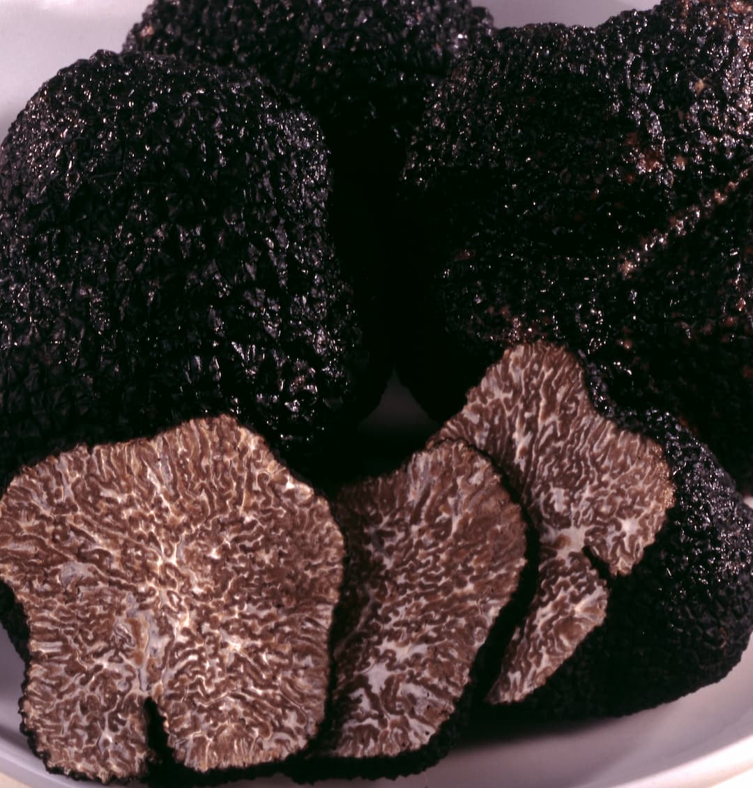 Truffes noires