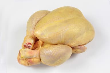 Poulet jaune