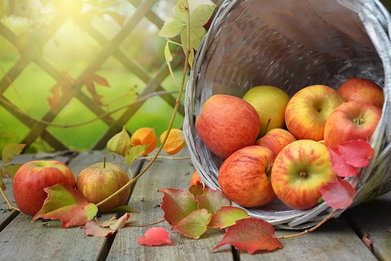 Pomme de Normandie