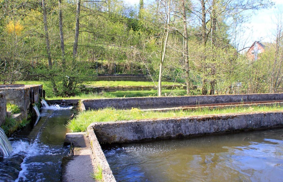 Pisciculture François Guidat