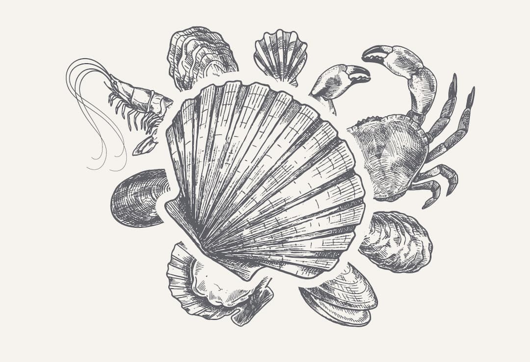 Grande araignée de mer