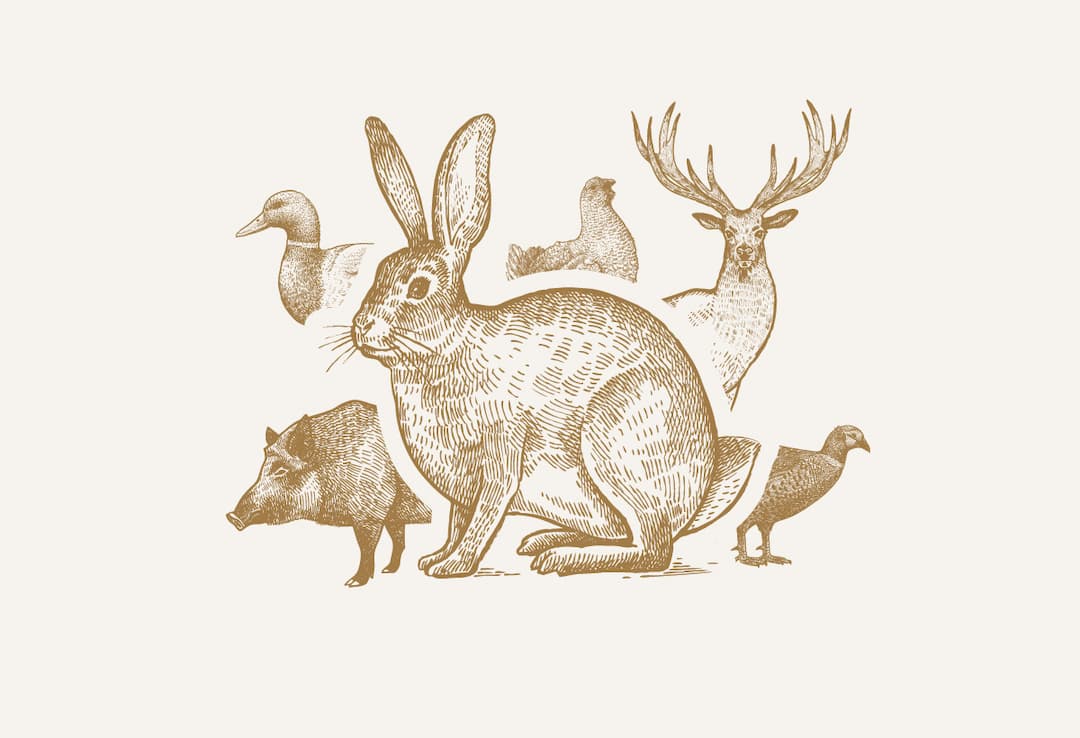 Perdreaux farcis et truffés